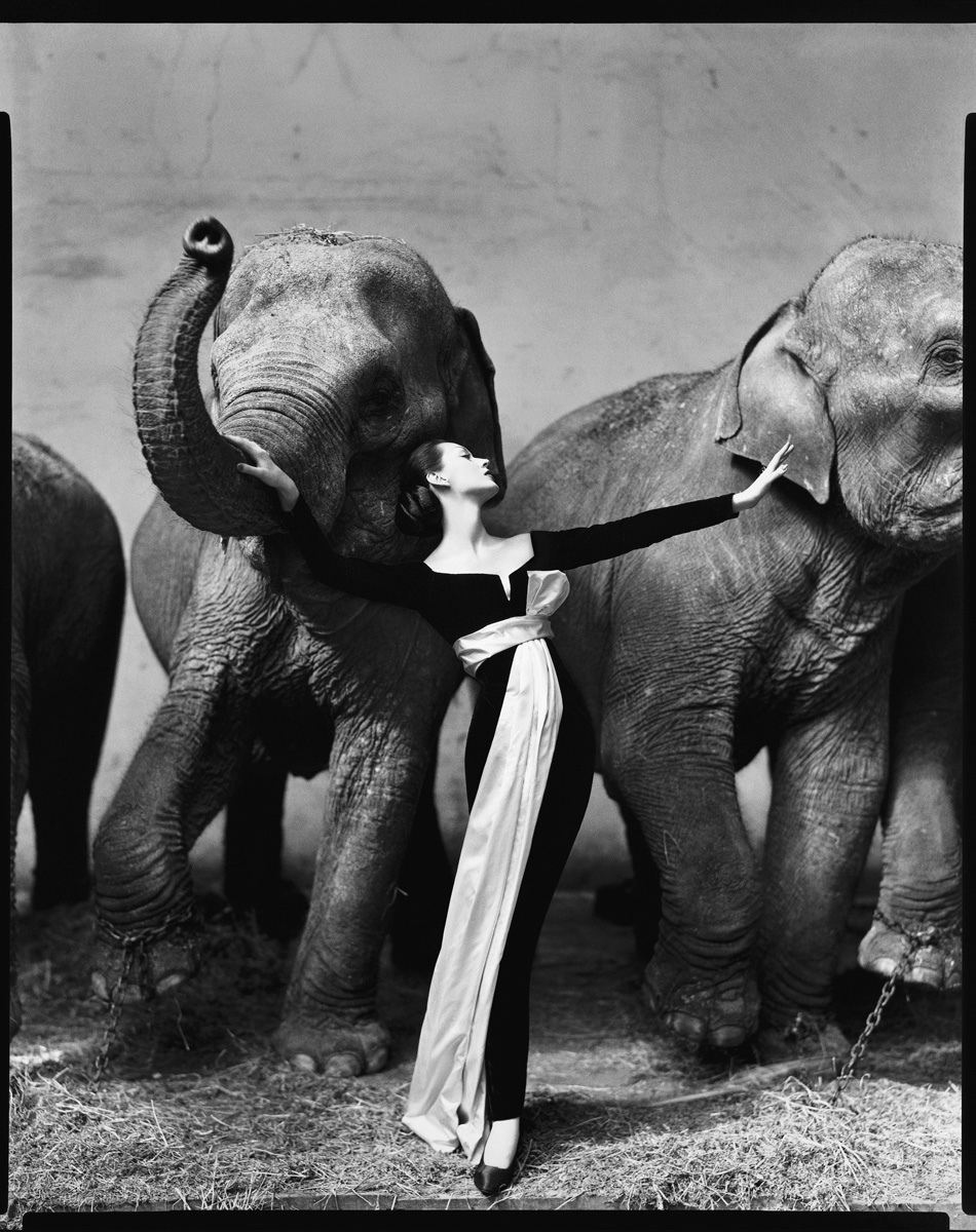 DOVIMA WITH ELEPHANTS. EVENING DRESS BY DIOR, CIRQUE D'HIVER, PARIS, AUGUST 1955