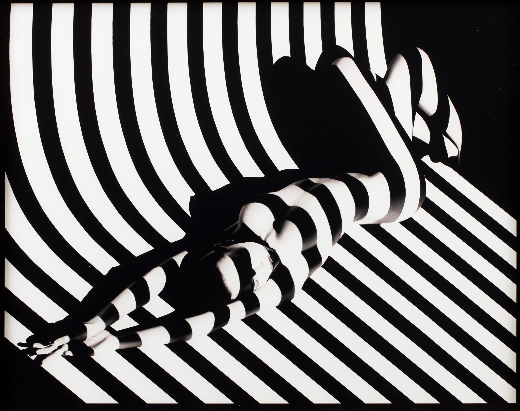 Zebra #17, 1988